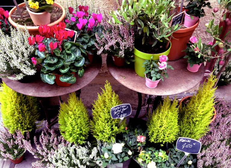 Flower Markets - Spring in Paris